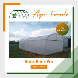5m x 9m x 3m