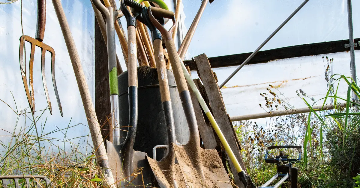 10 Essential Tools for Greenhouse Maintenance Top In 2023