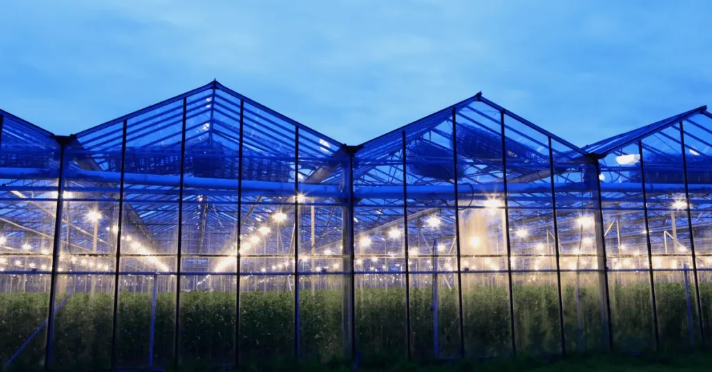 Greenhouse Lighting Systems - Agri Tunnels